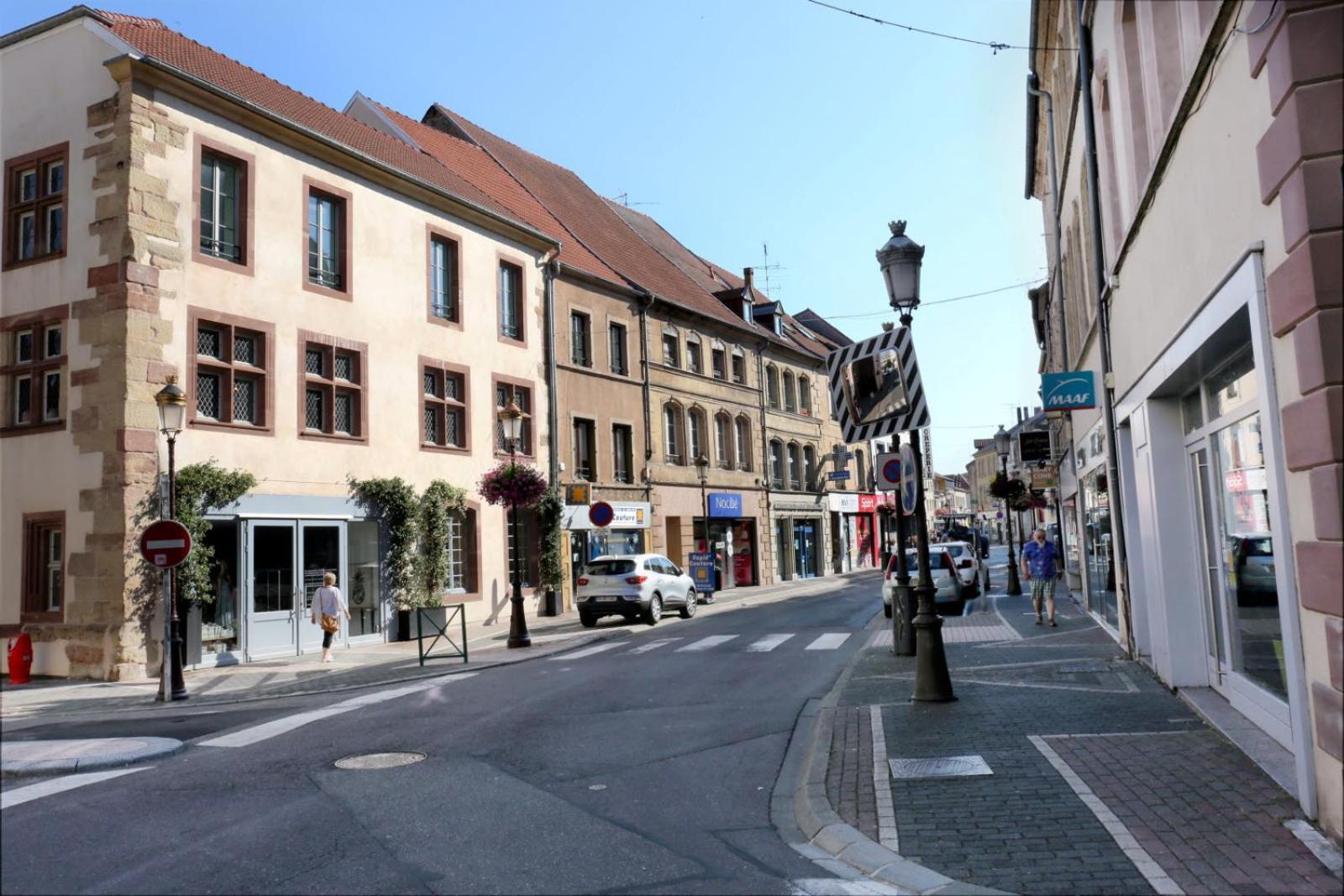 Apartamento Petit Cocon Saint-Avold Exterior foto